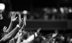 Black and white image of audience with hands raised, capturing concert energy.