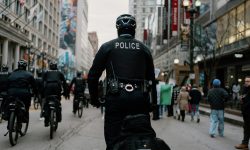 Police officers on bicycles patrol urban street during day in city.